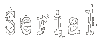 Serial